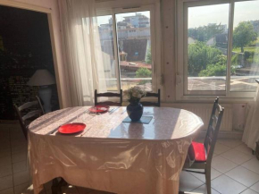 Appartement T2 lumineux CHU Stade Gaston Gérard 2 nuits minimum